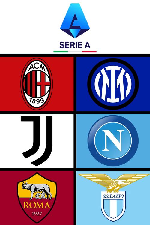 沙特队组织严密