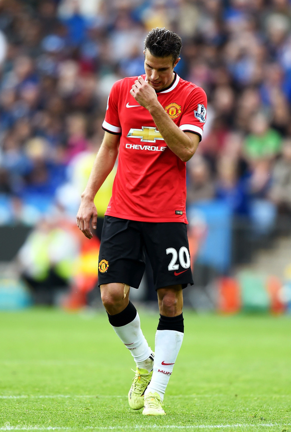 Shams：字母哥想去的地方远远不止尼克斯一家